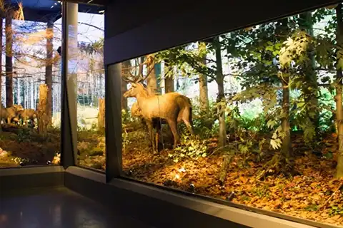 Park Edukacji TPN