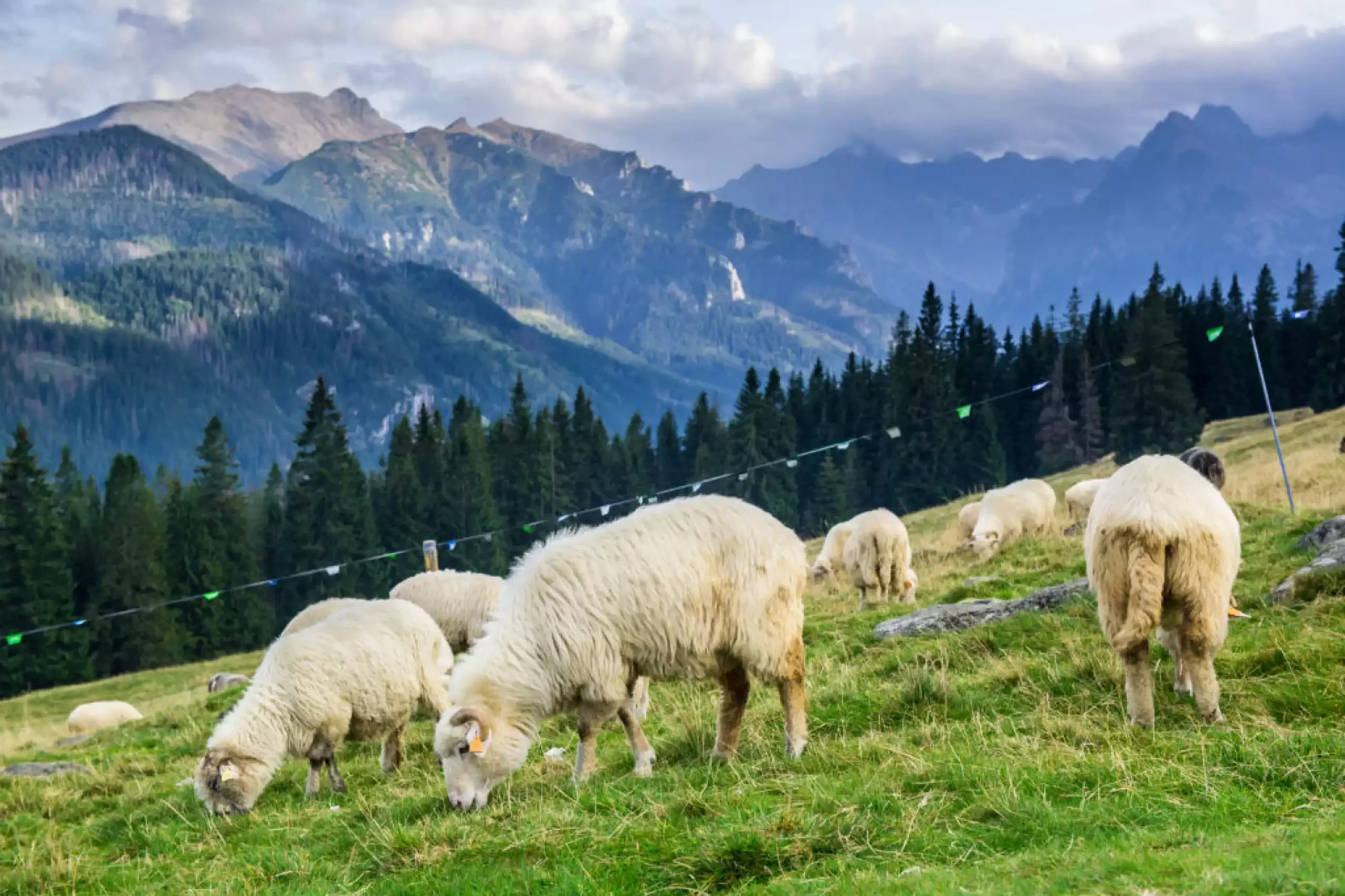 Karczmy regionalne Zakopane i okolica