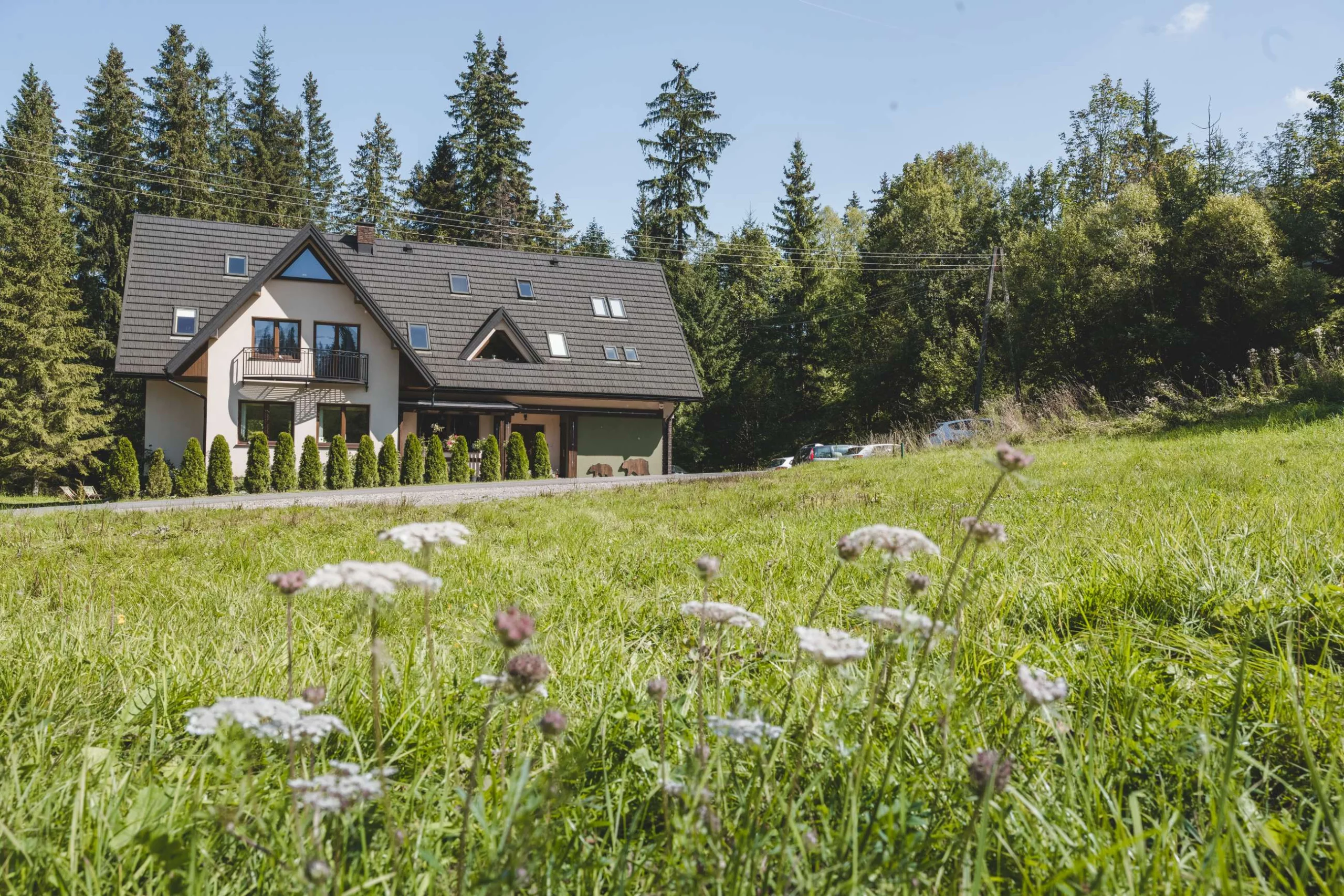 Rezydencja Dwa Niedźwiedzie nad potokiem Zakopane