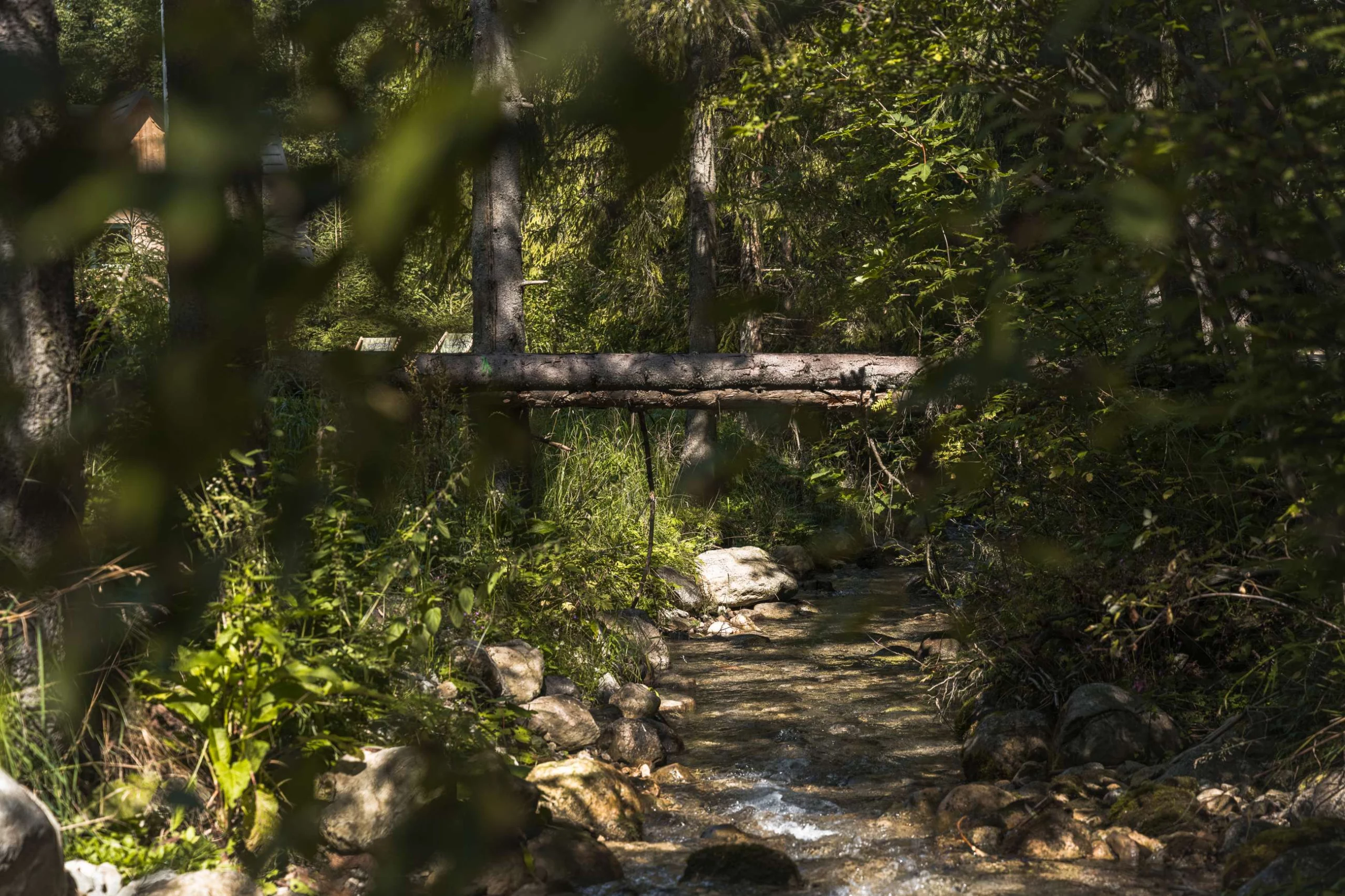 Rezydencja Dwa Niedźwiedzie nad potokiem Zakopane
