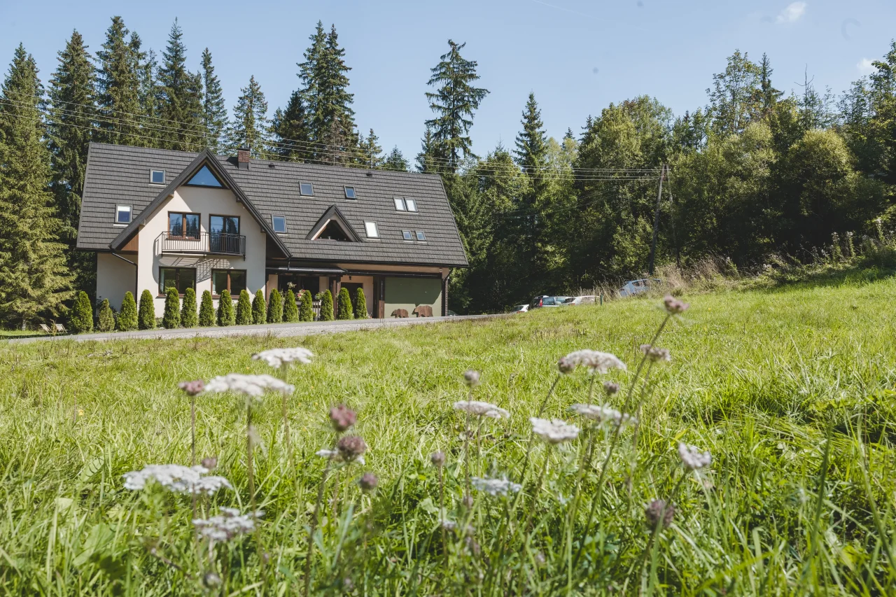Apartament Komnata Niedźwiedzi - zdjęcie 1