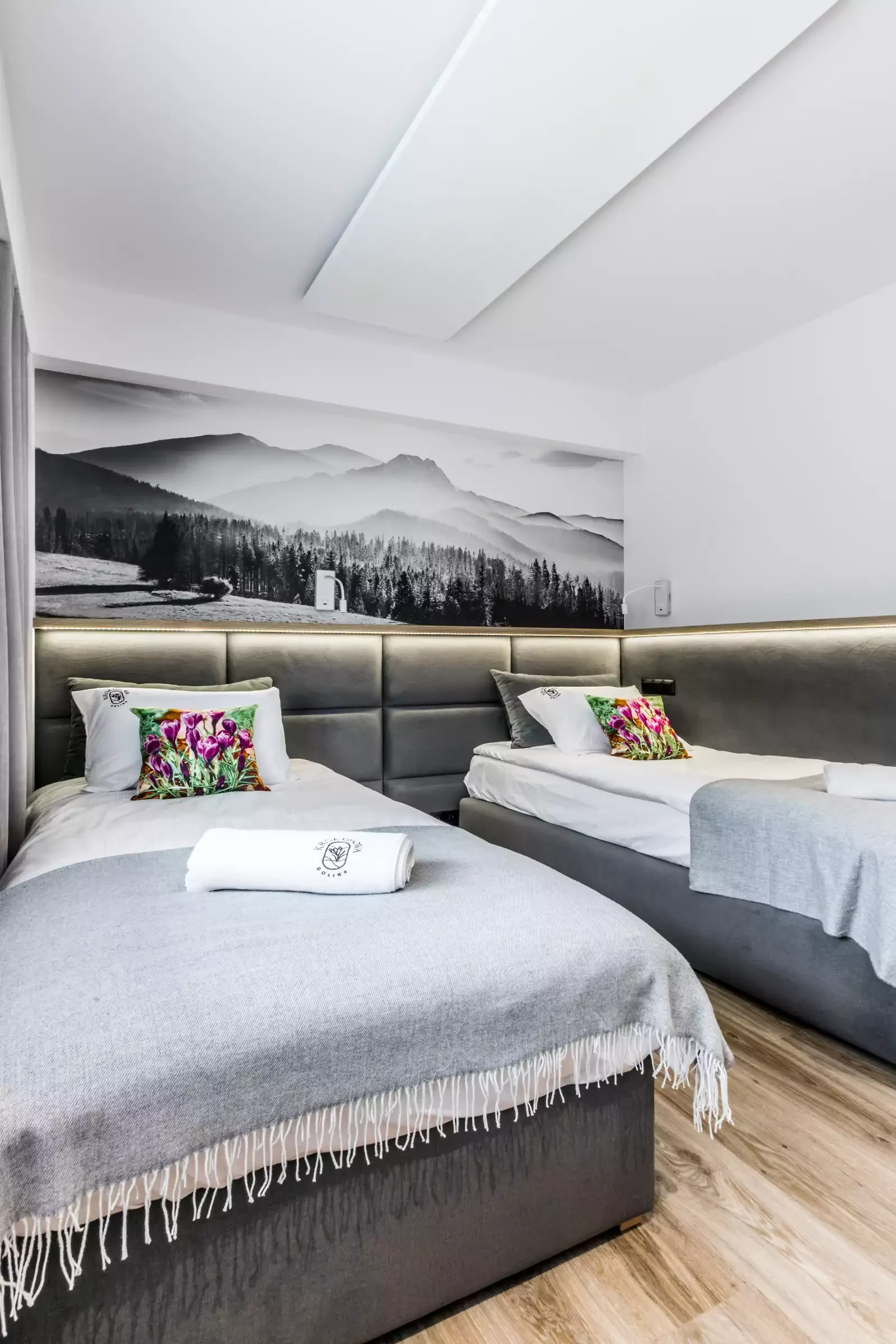 Krokusowa Dolina Apartament nr 5