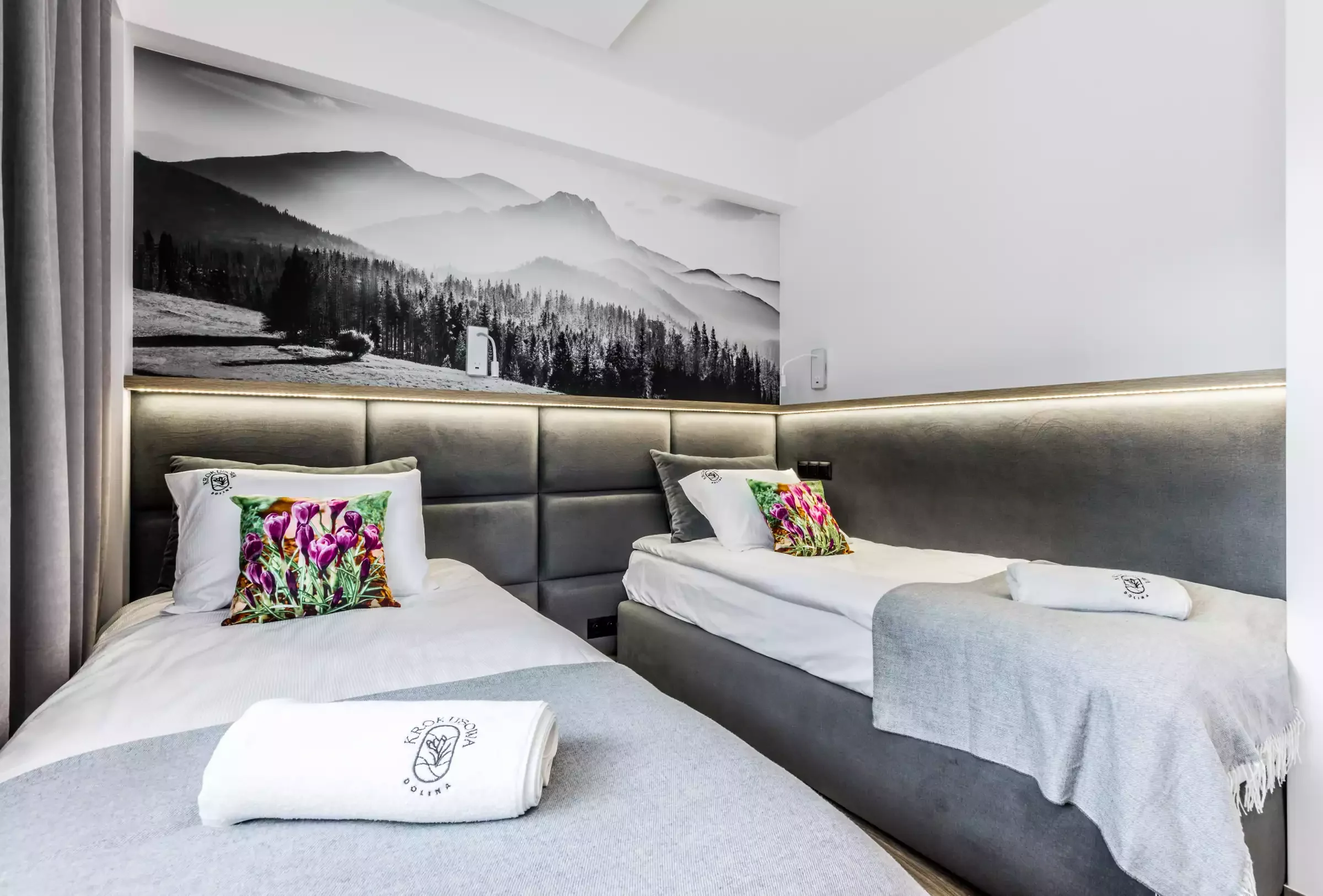 Krokusowa Dolina Apartament nr 5