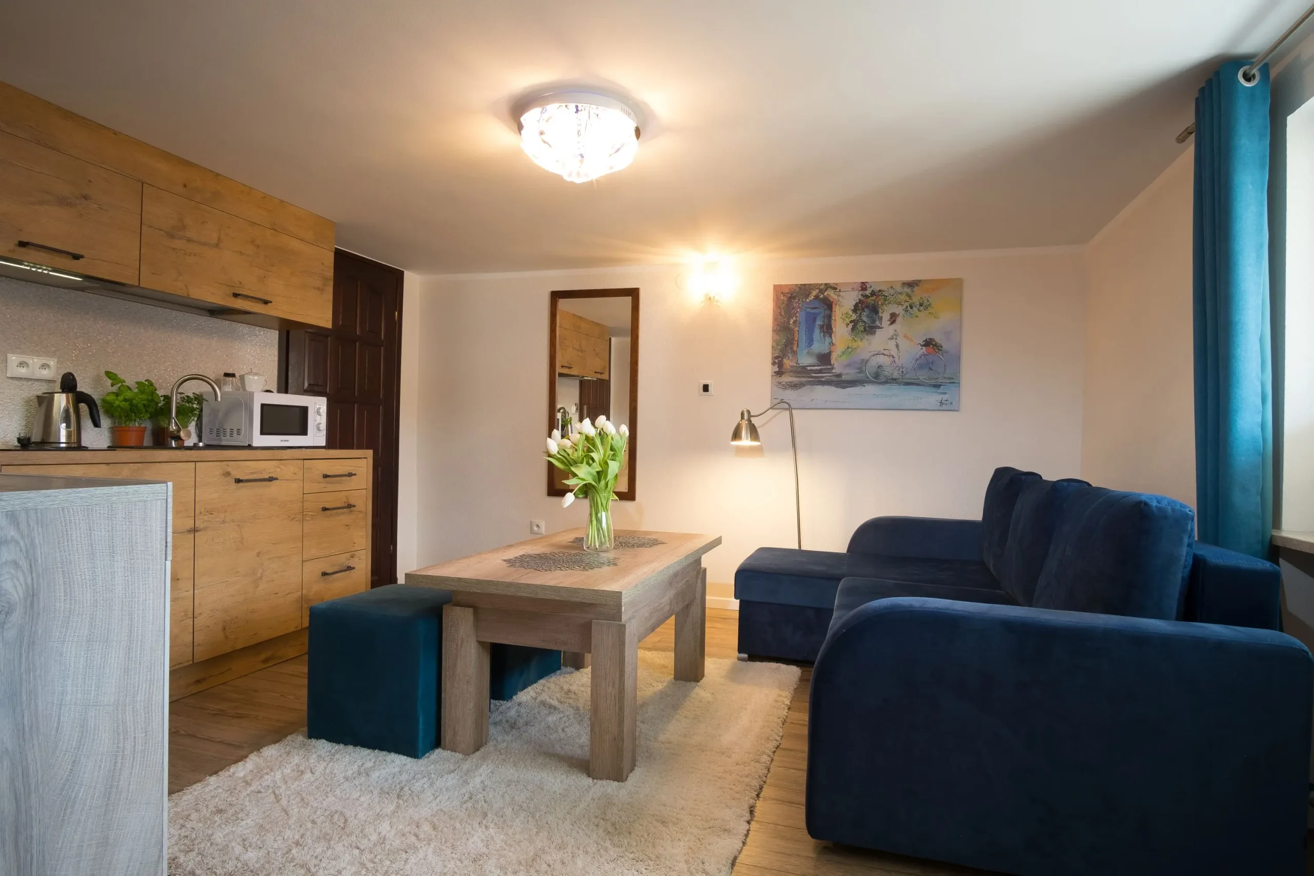 Ciche Wzgórze Apartament 1