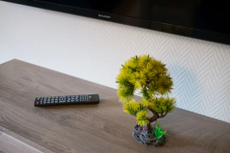 Ciche Wzgórze Apartament 1