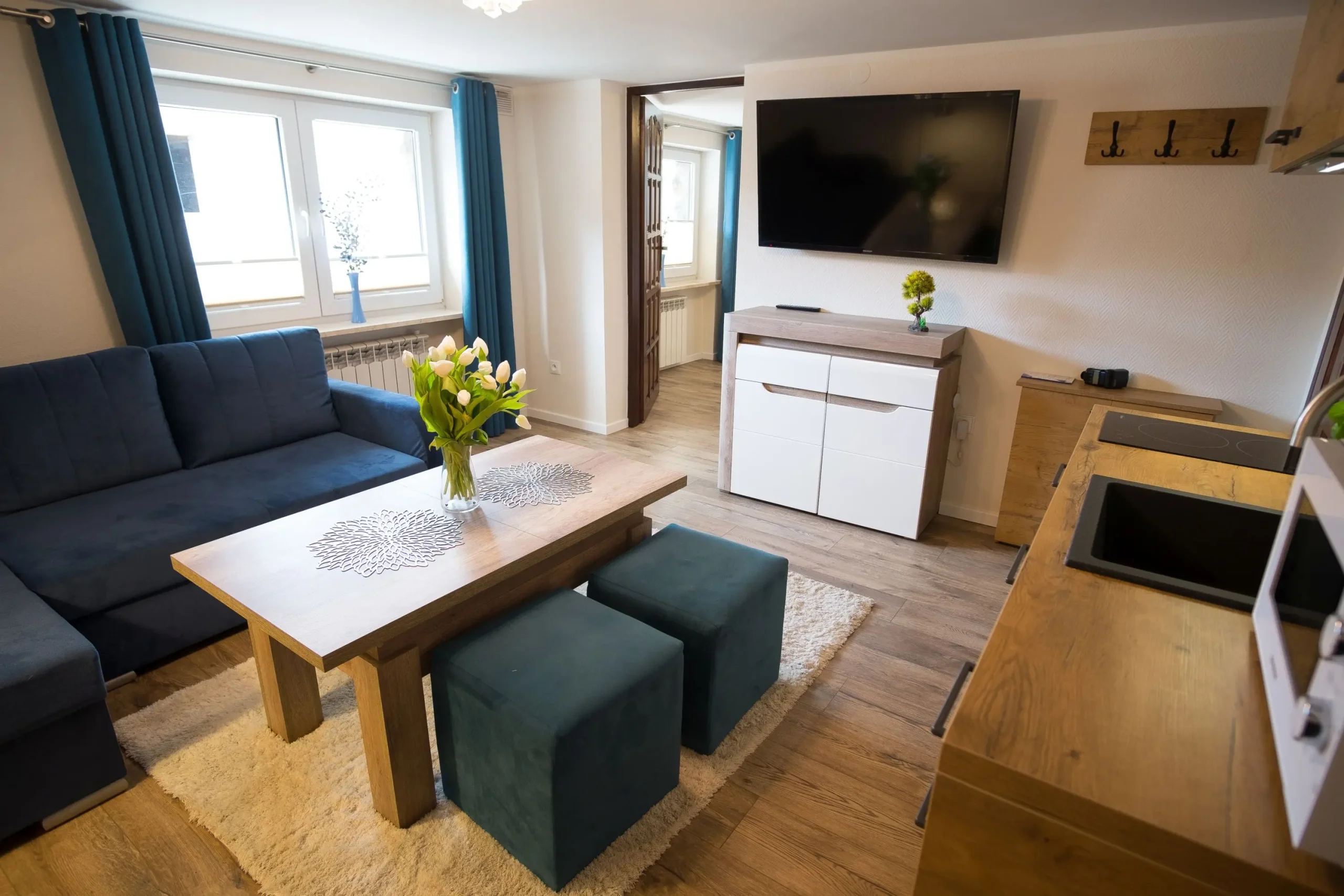 Ciche Wzgórze Apartament 1