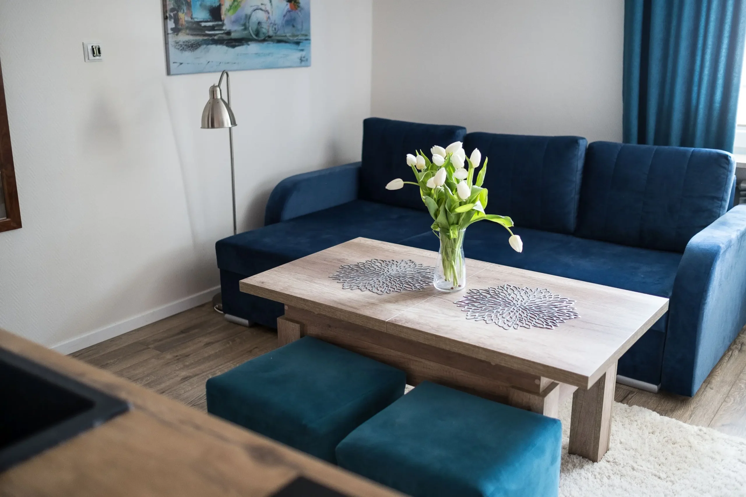 Ciche Wzgórze Apartament 1