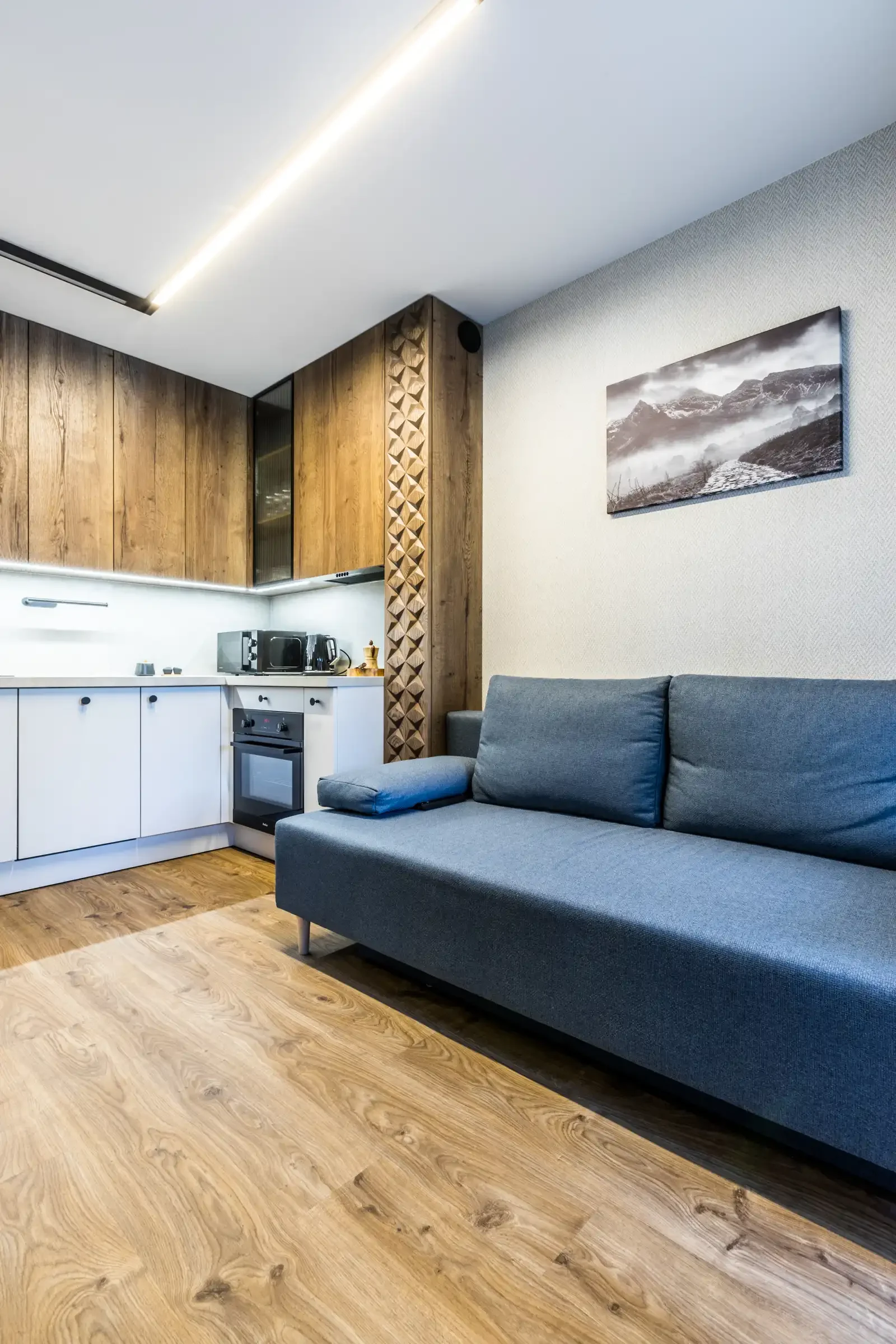 Apartament Makuszyńskiego Lux