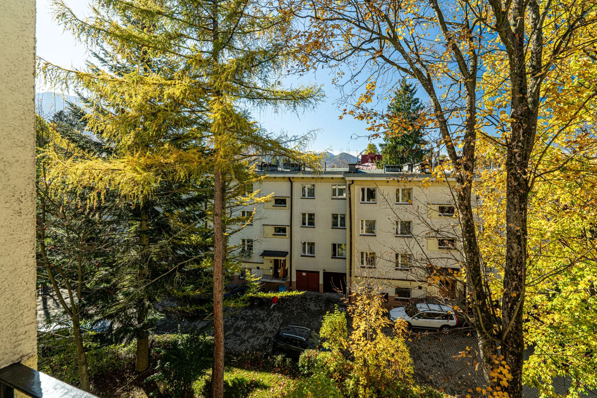 Apartament Alicja, ścisłe centrum