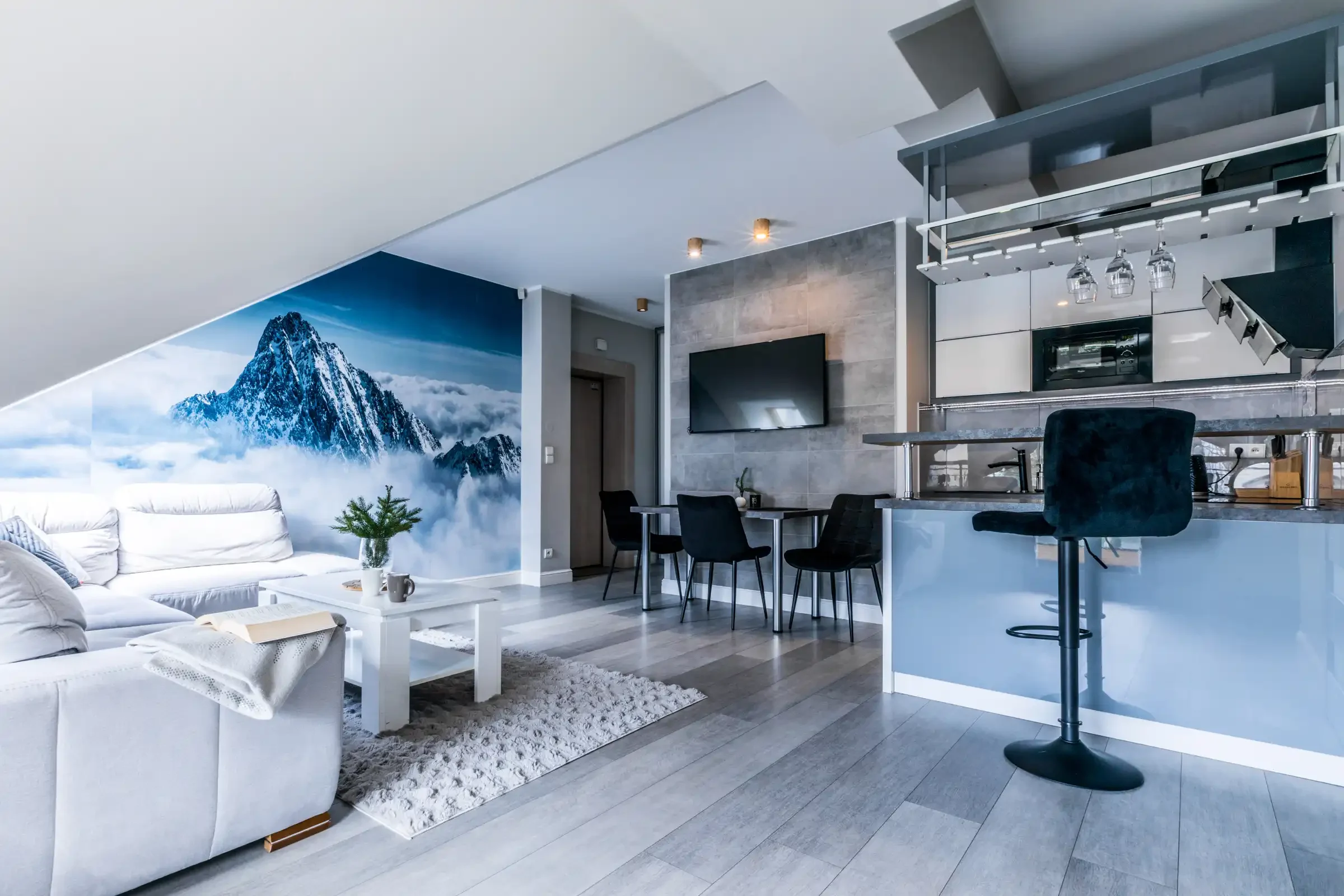 Apartament Lodowy-Zakopane