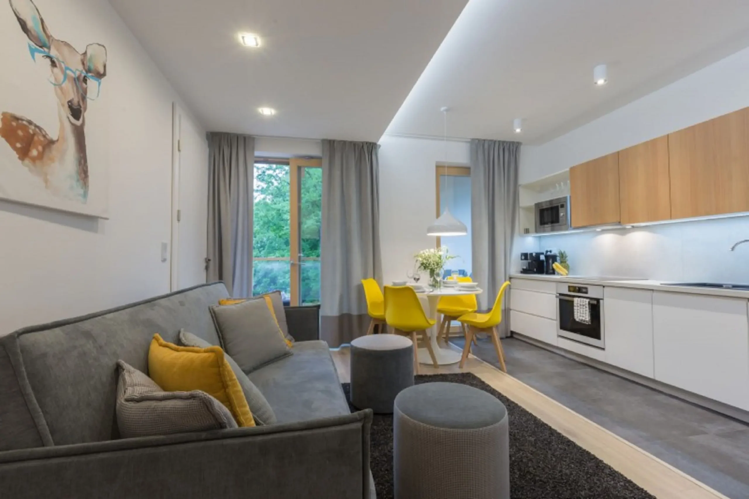 Apartament Żółta Turnia-Zakopane