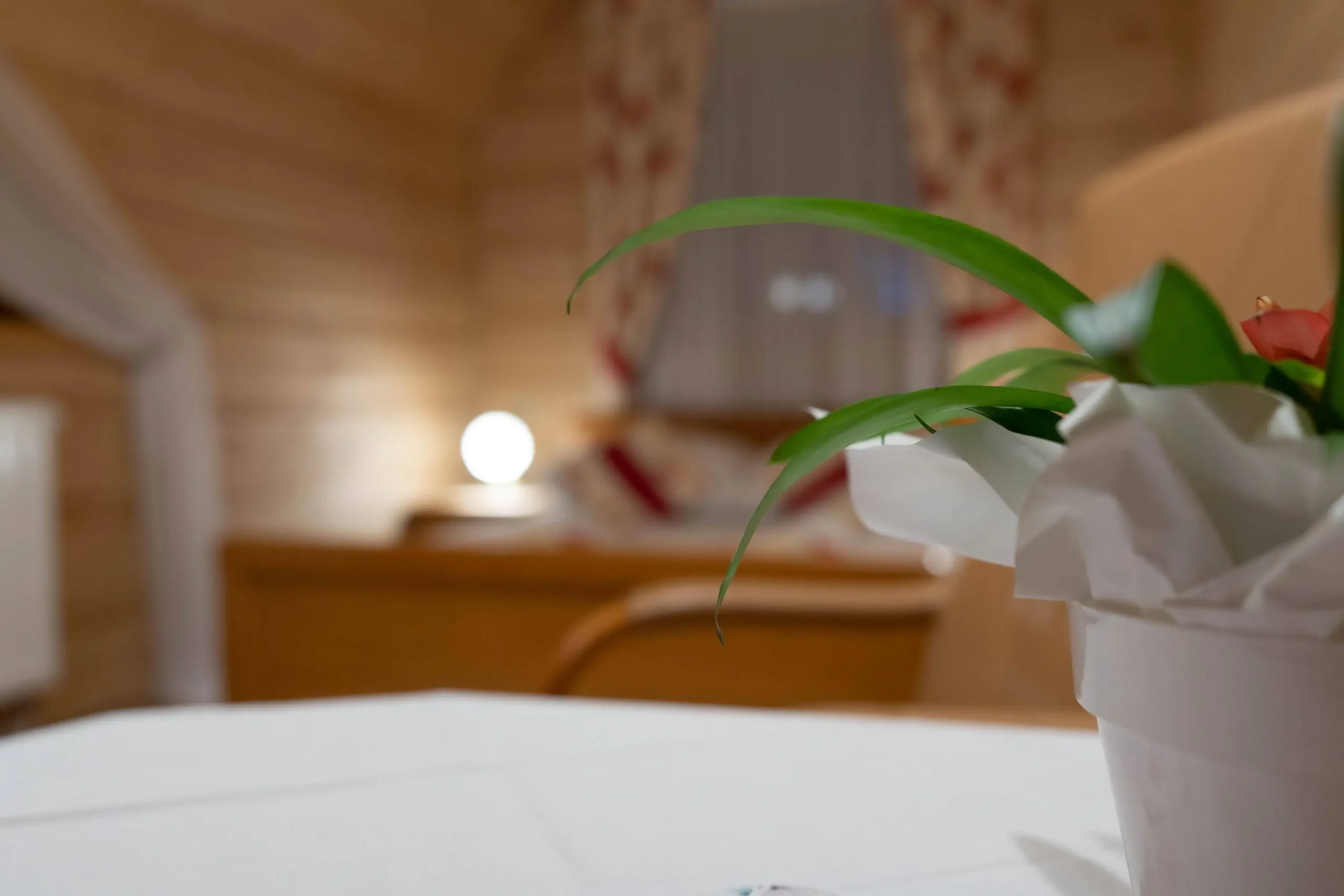 Willa Nowotarska Apartament 1 -Zakopane